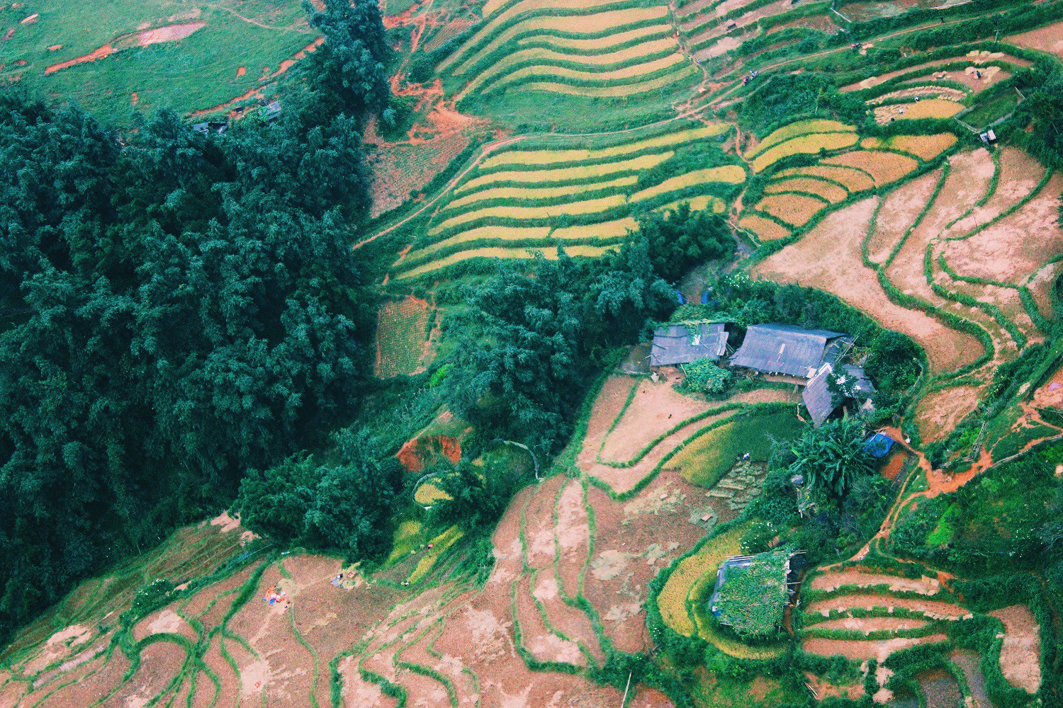 Lịch l&uacute;a ch&iacute;n T&acirc;y Bắc, Đ&ocirc;ng Bắc, l&ecirc;n kế hoạch săn ảnh ngay th&ocirc;i! - Ảnh 14.