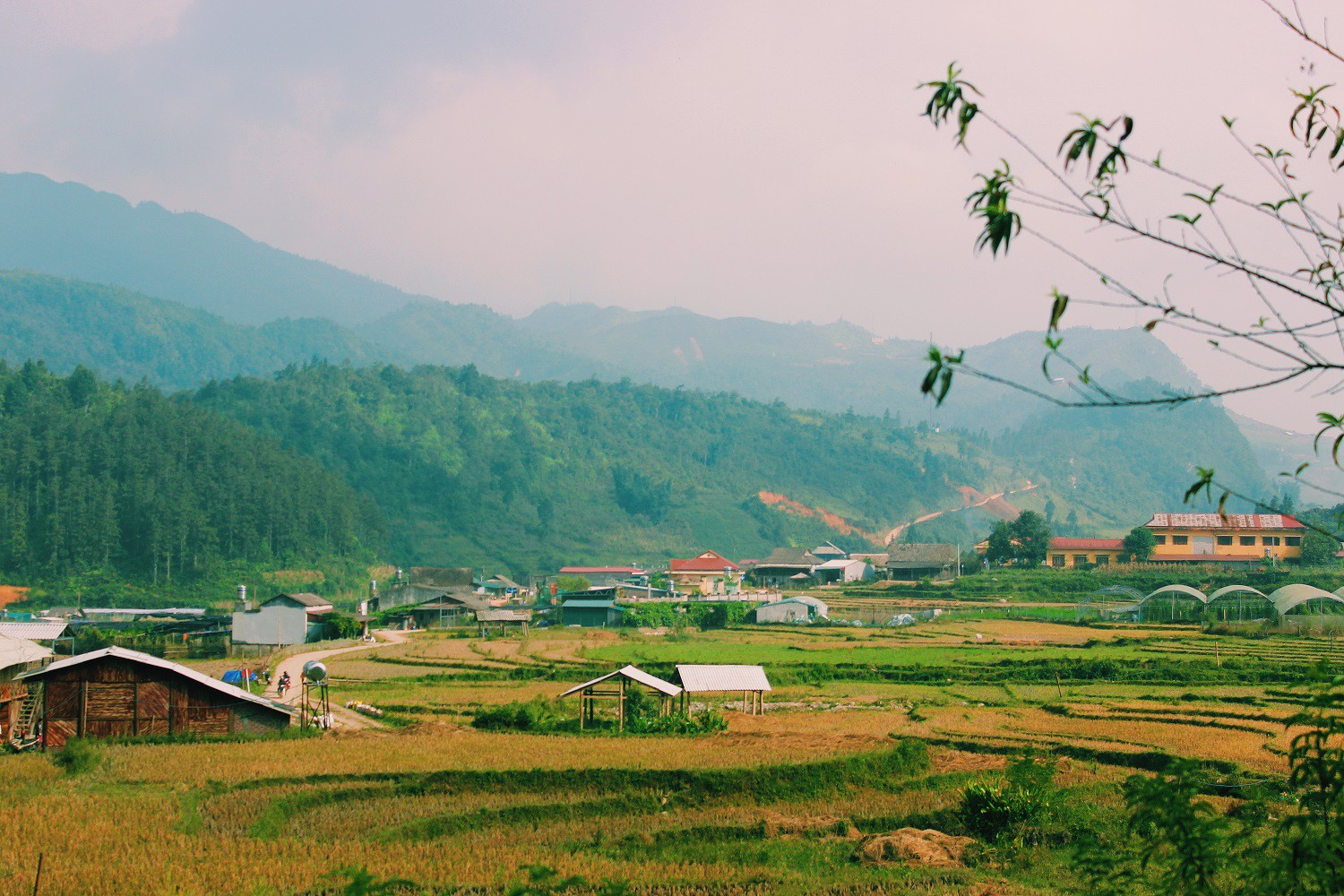Lịch l&uacute;a ch&iacute;n T&acirc;y Bắc, Đ&ocirc;ng Bắc, l&ecirc;n kế hoạch săn ảnh ngay th&ocirc;i! - Ảnh 5.