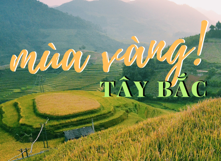 Lịch lúa chín Tây Bắc, Đông Bắc, lên kế hoạch săn ảnh ngay thôi!