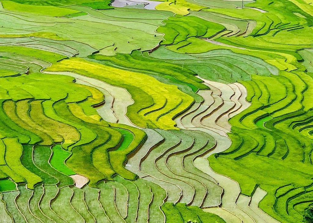 7 cung đường lúa chín ngoạn mục để săn ảnh mùa vàng - Ảnh 4.