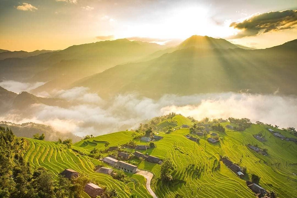 7 cung đường lúa chín ngoạn mục để săn ảnh mùa vàng - Ảnh 5.