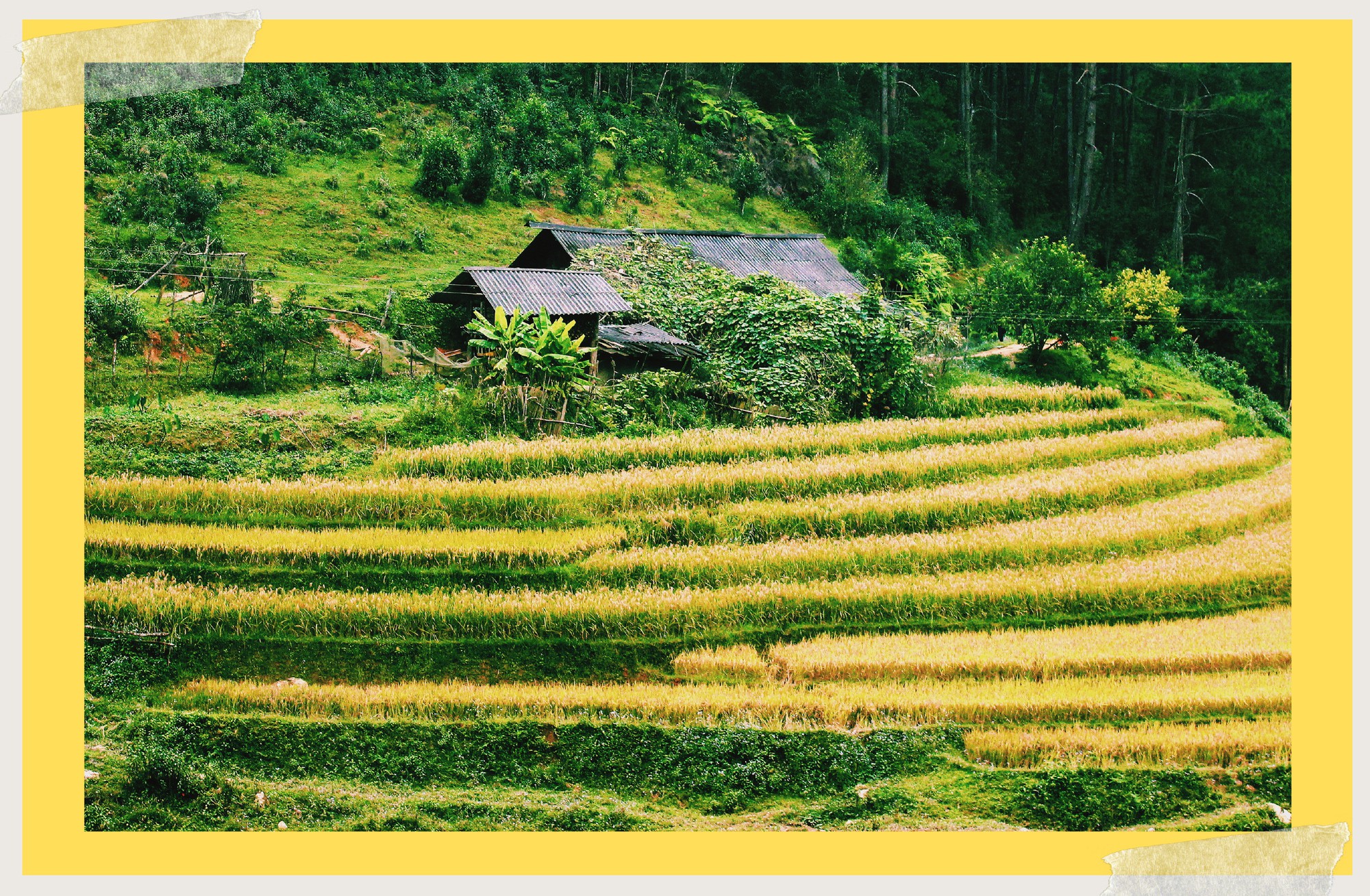 Lịch l&uacute;a ch&iacute;n T&acirc;y Bắc, Đ&ocirc;ng Bắc, l&ecirc;n kế hoạch săn ảnh ngay th&ocirc;i! - Ảnh 1.