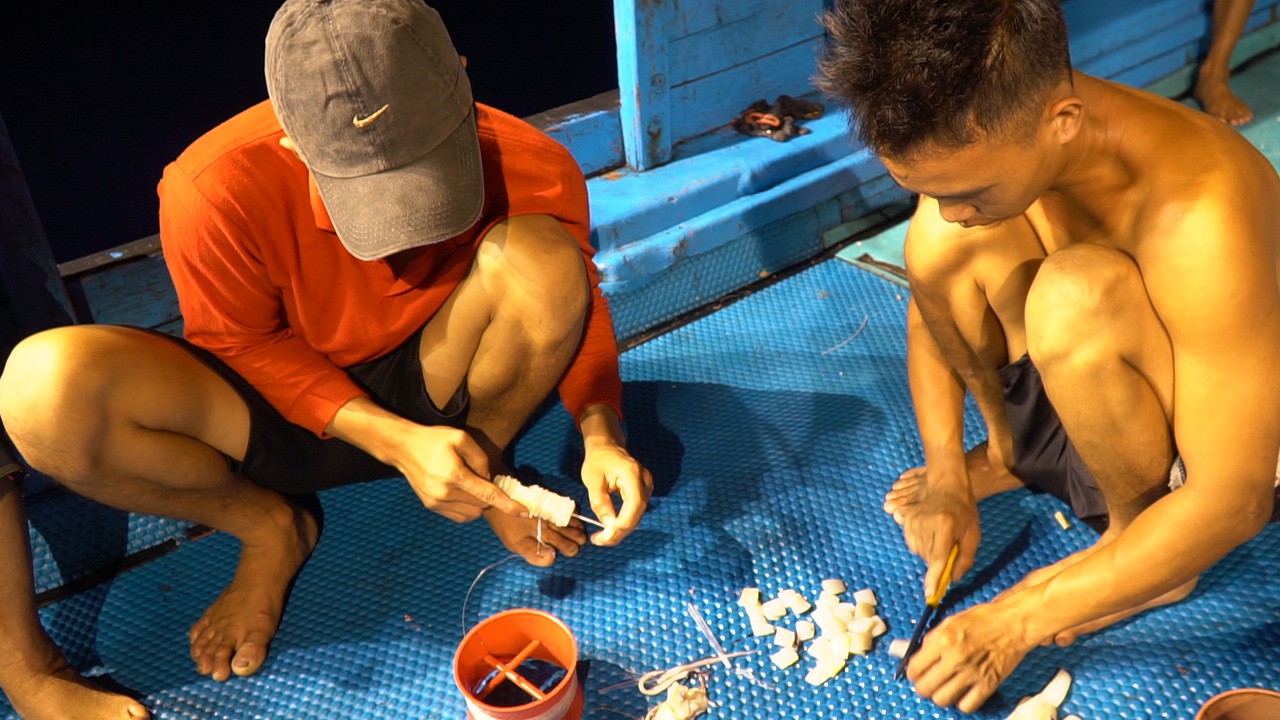 Thú câu mực khơi xa - Ảnh 7.