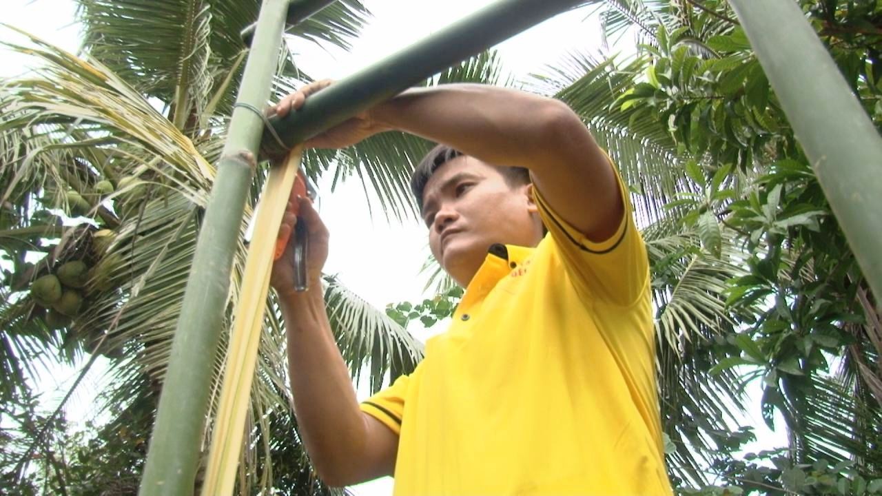 8X khởi nghiệp bằng cách thiết kế cổng đám cưới truyền thống "độc, lạ"
