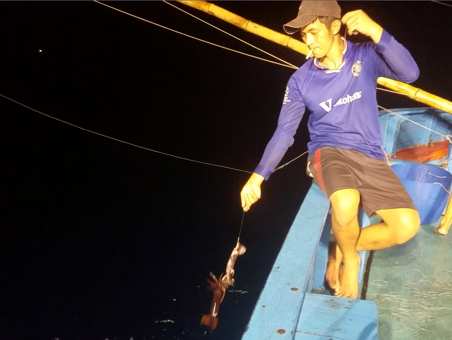 Thú câu mực khơi xa