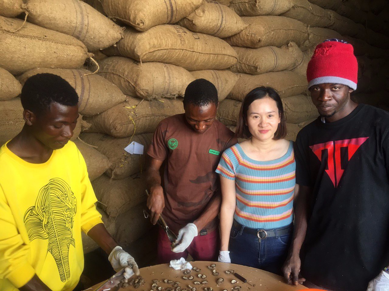 Thu mua 176.000 tấn điều th&ocirc; của Tanzania, Tập đo&agrave;n T&T tạo tiếng vang tr&ecirc;n thị trường điều thế giới - Ảnh 4.
