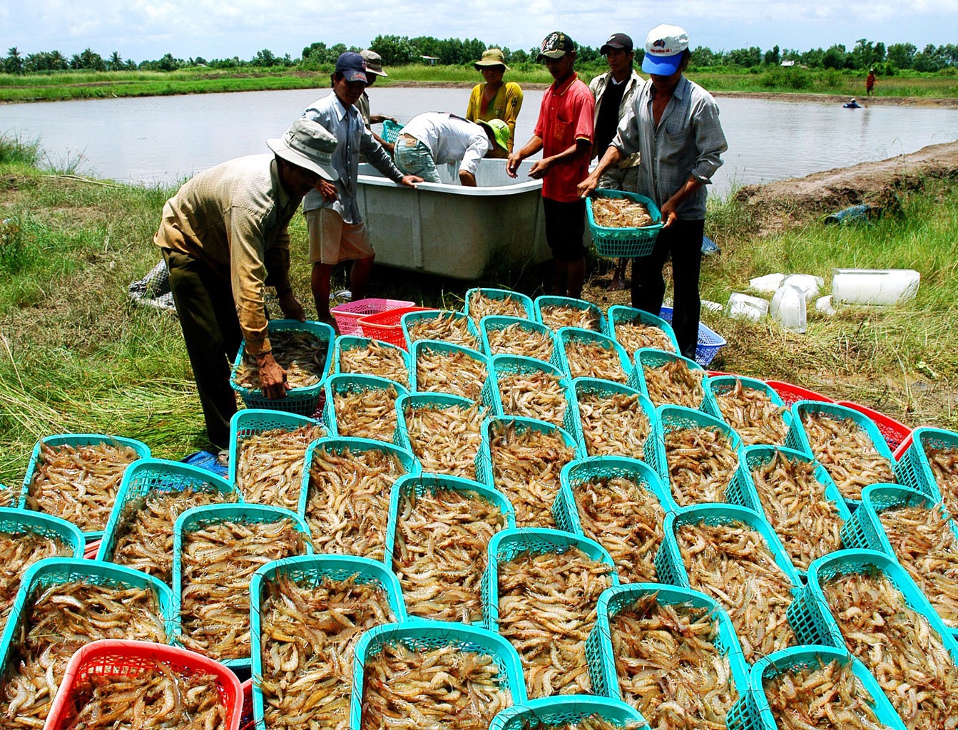 Phòng vệ khi Mỹ - Trung "so găng" tiền tệ