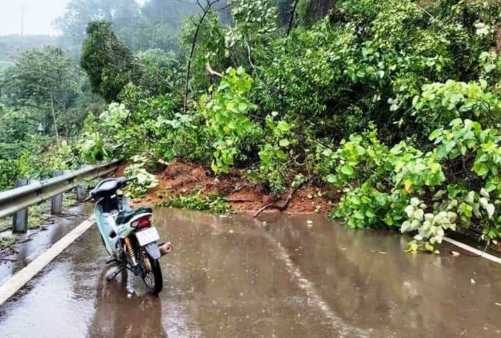L&acirc;m Đồng: Mưa lớn g&acirc;y sạt lở đất, c&ocirc; lập nhiều nơi - Ảnh 6.