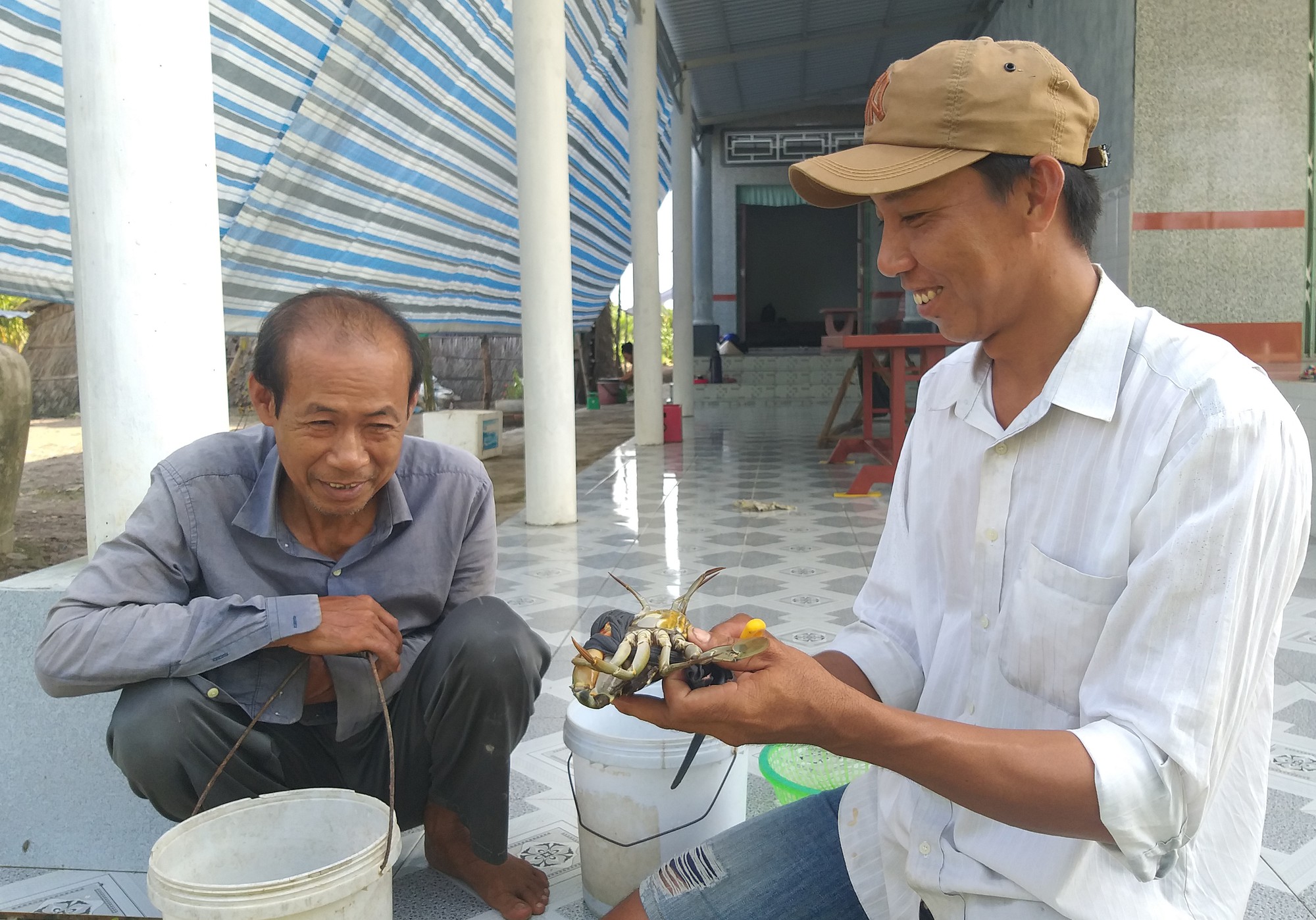 Bí quyết chọn cua biển Cà Mau ngon, tránh hàng đểu - Ảnh 6.