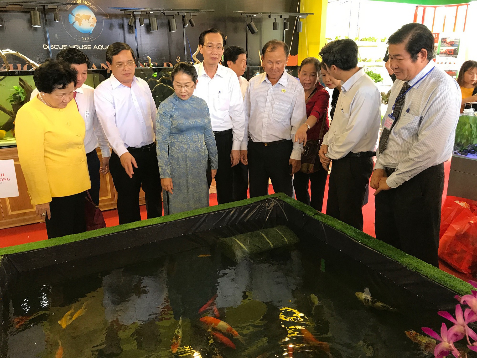Nhiều rau sạch, c&aacute; cảnh độc lạ... tại chợ phi&ecirc;n n&ocirc;ng sản TP HCM - Ảnh 2.
