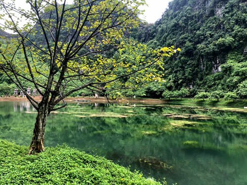48 giờ ăn chơi ở Ninh Bình - Ảnh 2.