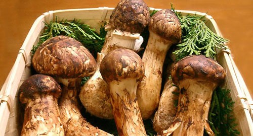 Những món được yêu thích vào mùa thu - Ảnh 4.