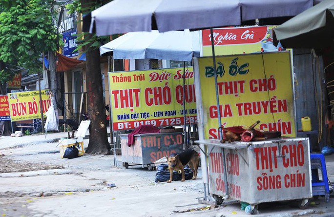 TP HCM khuyến cáo người dân bỏ thói quen ăn thịt chó