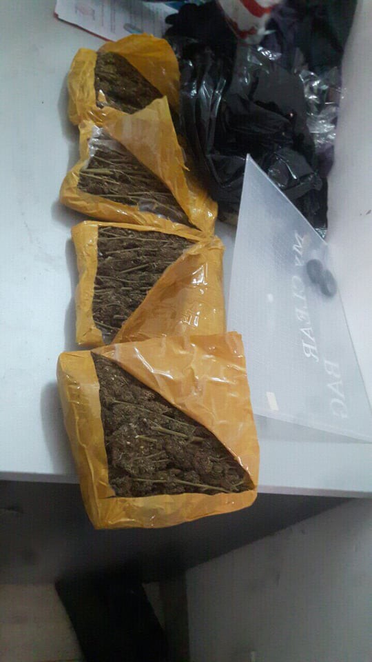 2 sinh viên mua bán gần 1,5 kg cần sa, vận chuyển bằng đường bưu điện - Ảnh 3.
