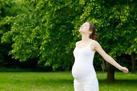 Thực hư chuyện "nắn bụng" bà bầu để sinh dễ