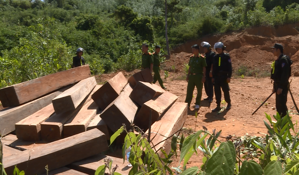 Vụ điều c&ocirc;ng an kh&aacute;c địa b&agrave;n đi bắt gỗ lậu: Thu giữ th&ecirc;m 500 m&eacute;t khối gỗ - Ảnh 2.