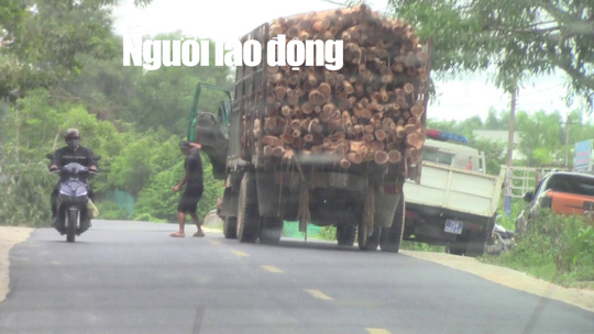 T&agrave;i xế xe chở qu&aacute; tải cầm giấy tờ tr&igrave;nh diện trong nh&agrave; người d&acirc;n? - Ảnh 1.