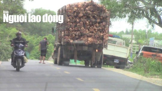 T&agrave;i xế xe chở qu&aacute; tải cầm giấy tờ tr&igrave;nh diện trong nh&agrave; người d&acirc;n? - Ảnh 2.