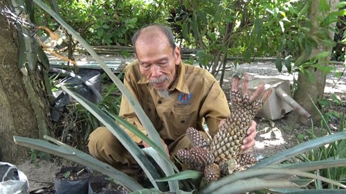 Phi công Nguyễn Văn Bảy - anh hùng bình dị