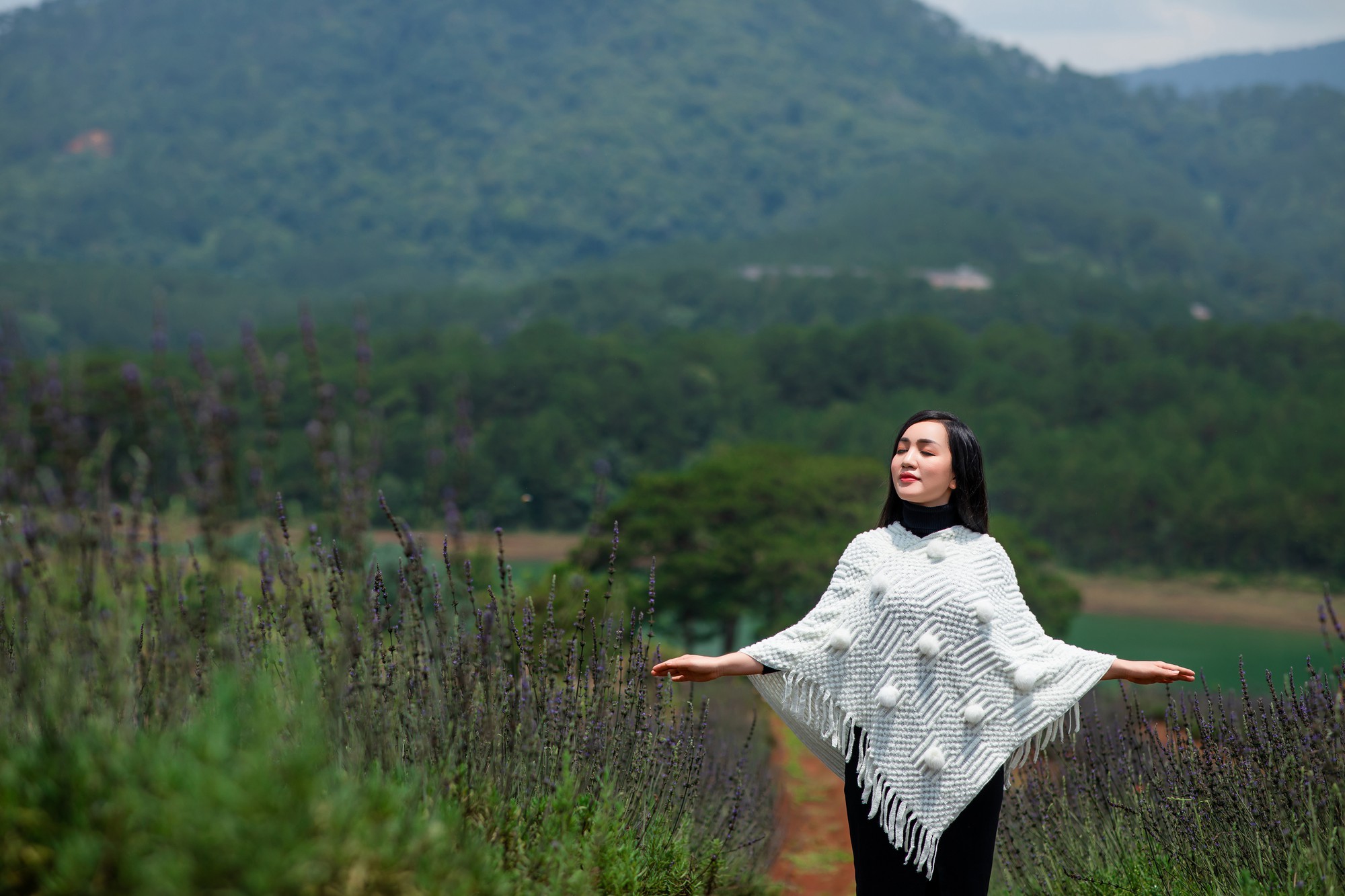 Nghe H&agrave; V&acirc;n tỏ t&igrave;nh với Đ&agrave; Lạt - Ảnh 2.