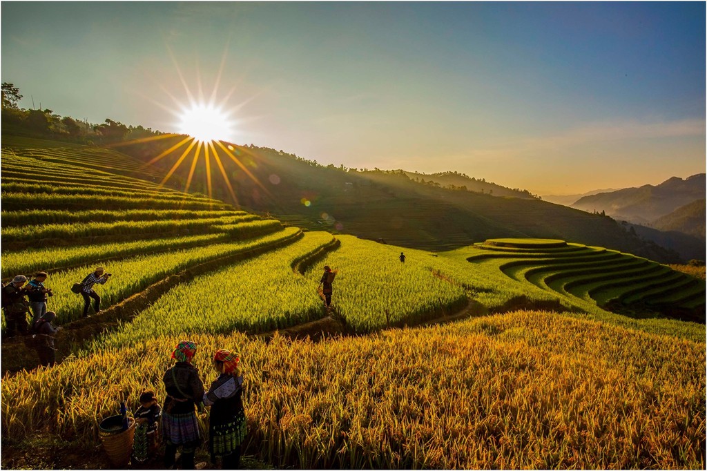5 gợi ý cho chuyến đi Mù Cang Chải trọn vẹn - Ảnh 1.