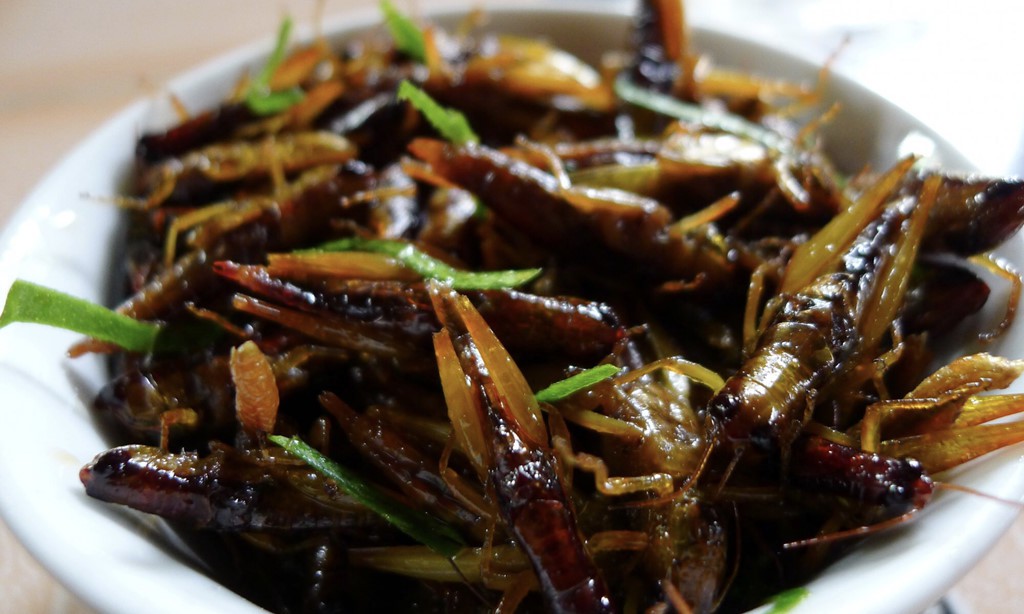5 gợi ý cho chuyến đi Mù Cang Chải trọn vẹn - Ảnh 16.