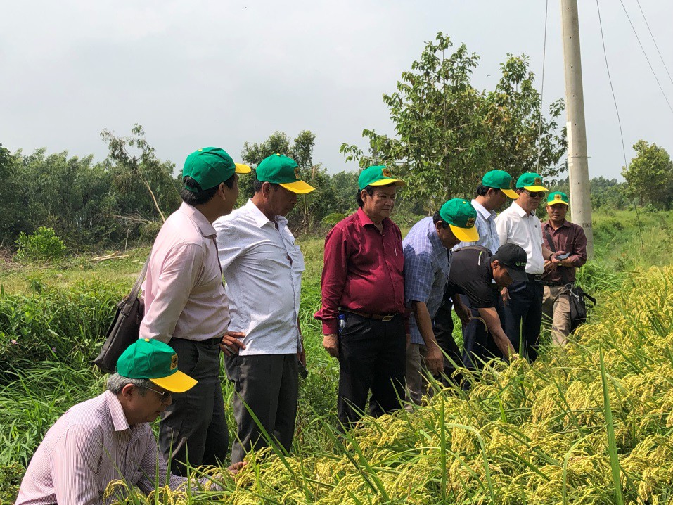 B&igrave;nh Điền đưa canh t&aacute;c l&uacute;a th&ocirc;ng minh l&ecirc;n một bước mới - Ảnh 4.