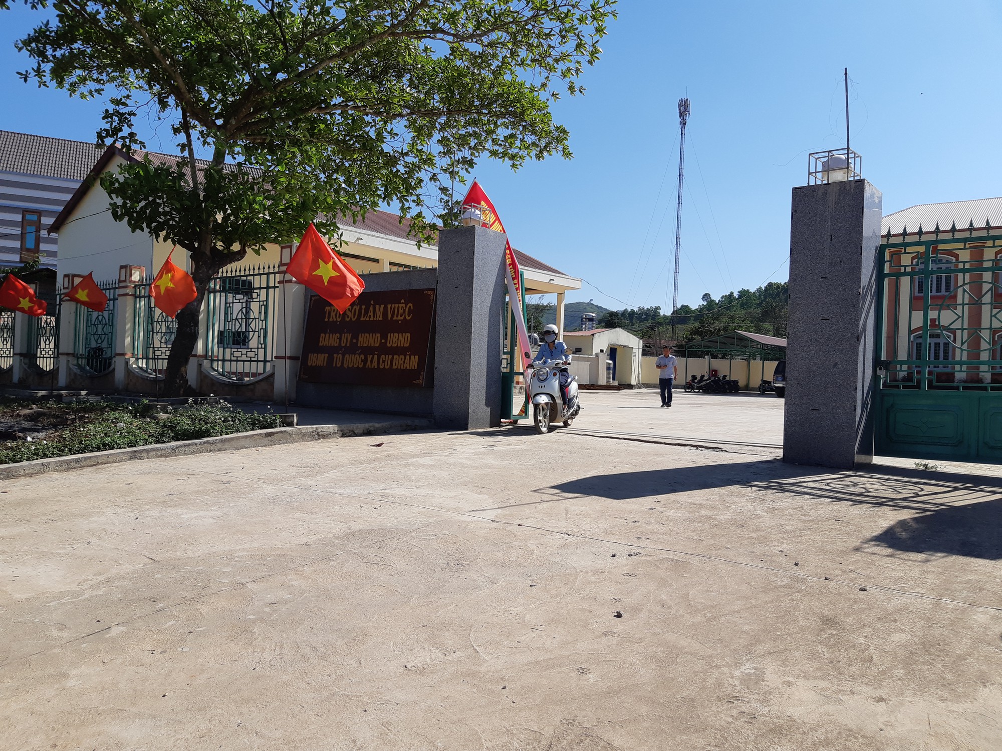 Chủ tịch x&atilde; bắt gỗ lậu về... biếu c&aacute;n bộ - Ảnh 3.