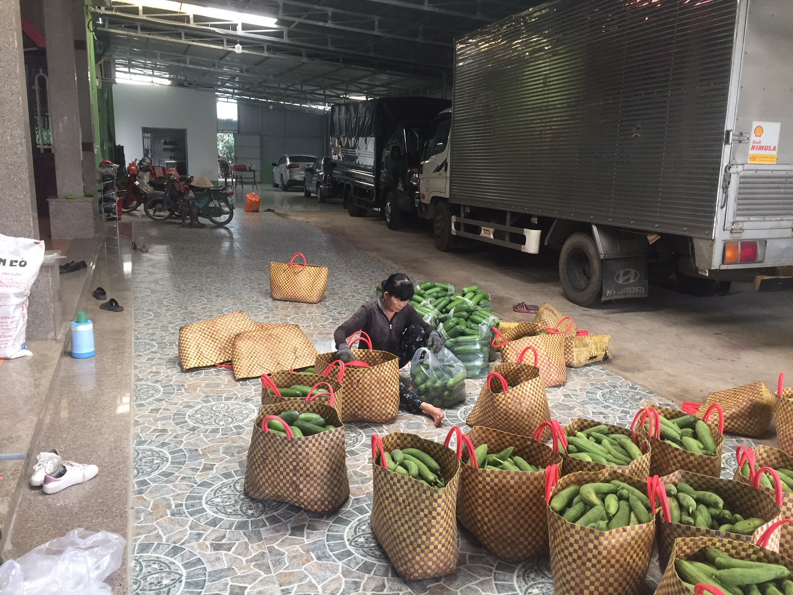 Chưa đến 1 % rau đạt chứng nhận VietGAP: Thực trạng sản xuất rau an toàn hiện nay - Ảnh 2.
