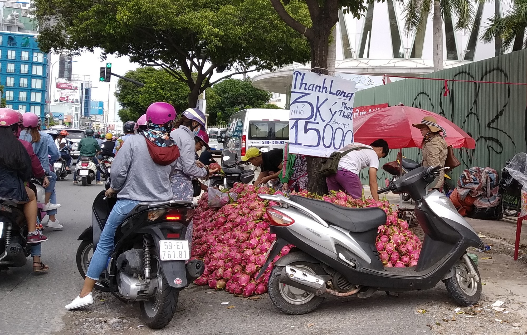 Thanh long, dưa hấu rớt gi&aacute; c&ograve;n 6.000 đồng/kg v&igrave; thị trường Trung Quốc bấp b&ecirc;nh - Ảnh 1.