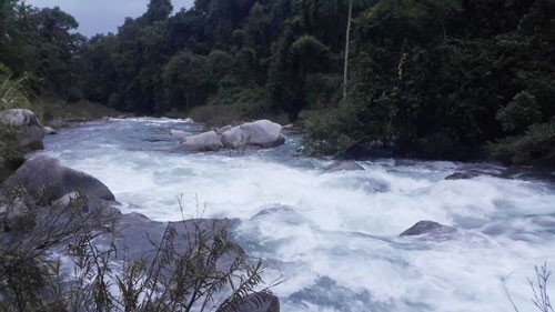 Đi nhớ trở về