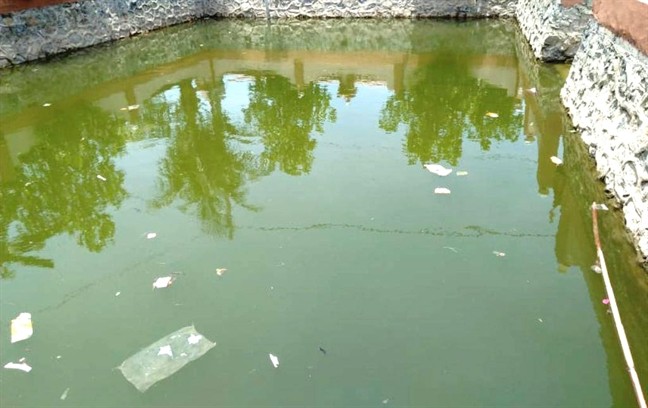 Bé trai ngã xuống ao tử vong khi chạy theo mẹ đi mua hàng