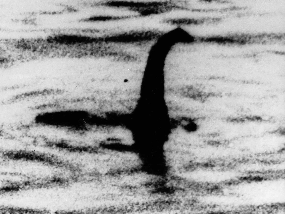 Giới khoa học tìm ra manh mối mới về “quái vật hồ Loch Ness” - Ảnh 2.