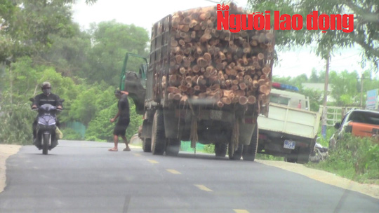 Vụ tài xế xe quá tải trình diện CSGT trong nhà dân: Trung tá CSGT bị kỷ luật - Ảnh 2.