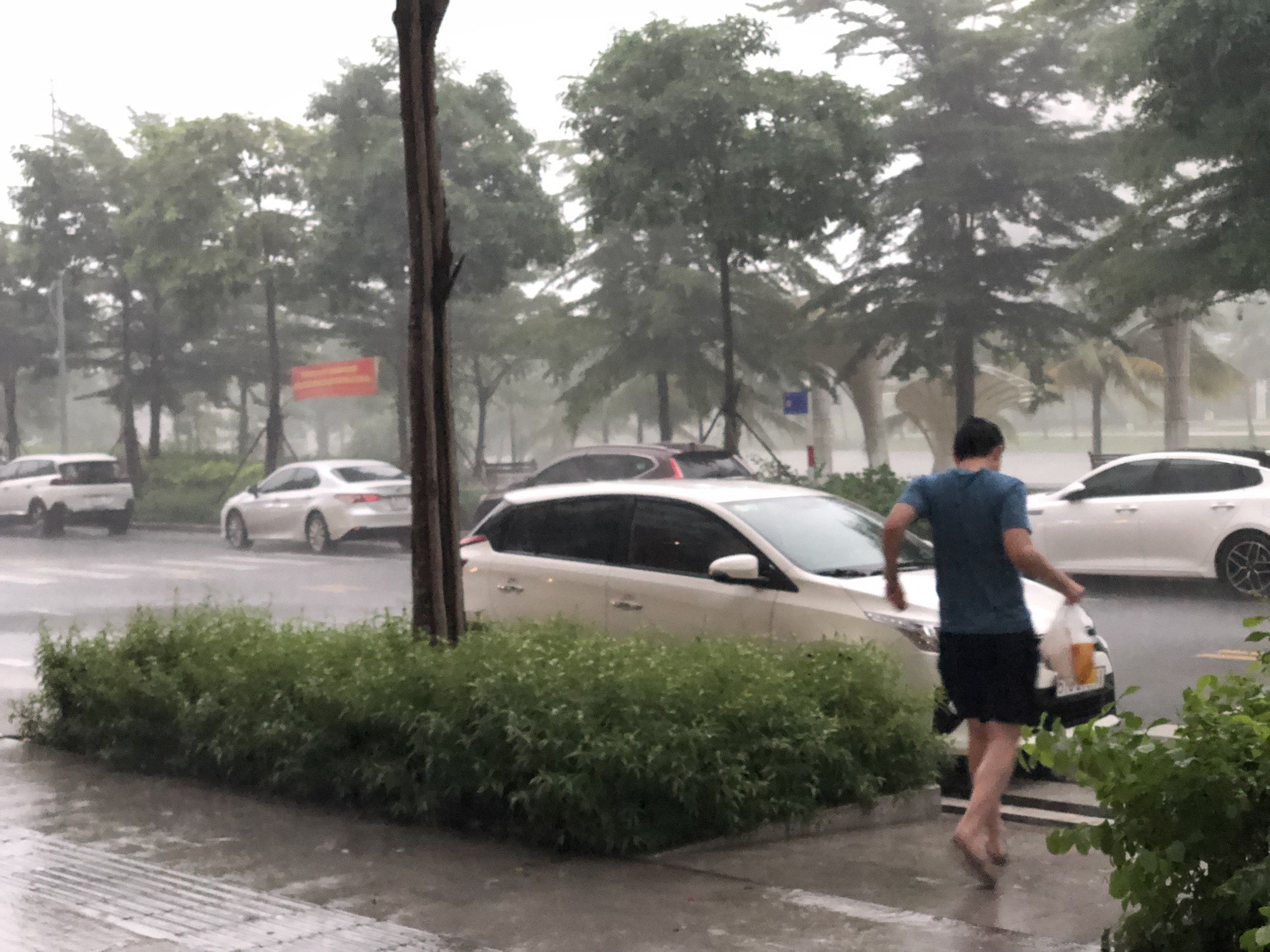 TP HCM mưa, dông lớn - Ảnh 3.