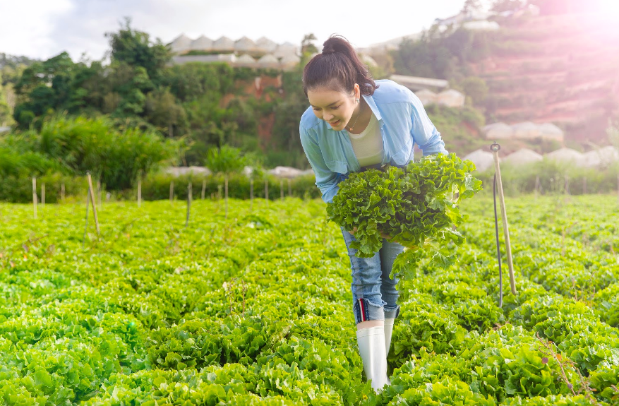 L&yacute; Nh&atilde; Kỳ g&acirc;y bất ngờ với vẻ đẹp giản dị - Ảnh 2.