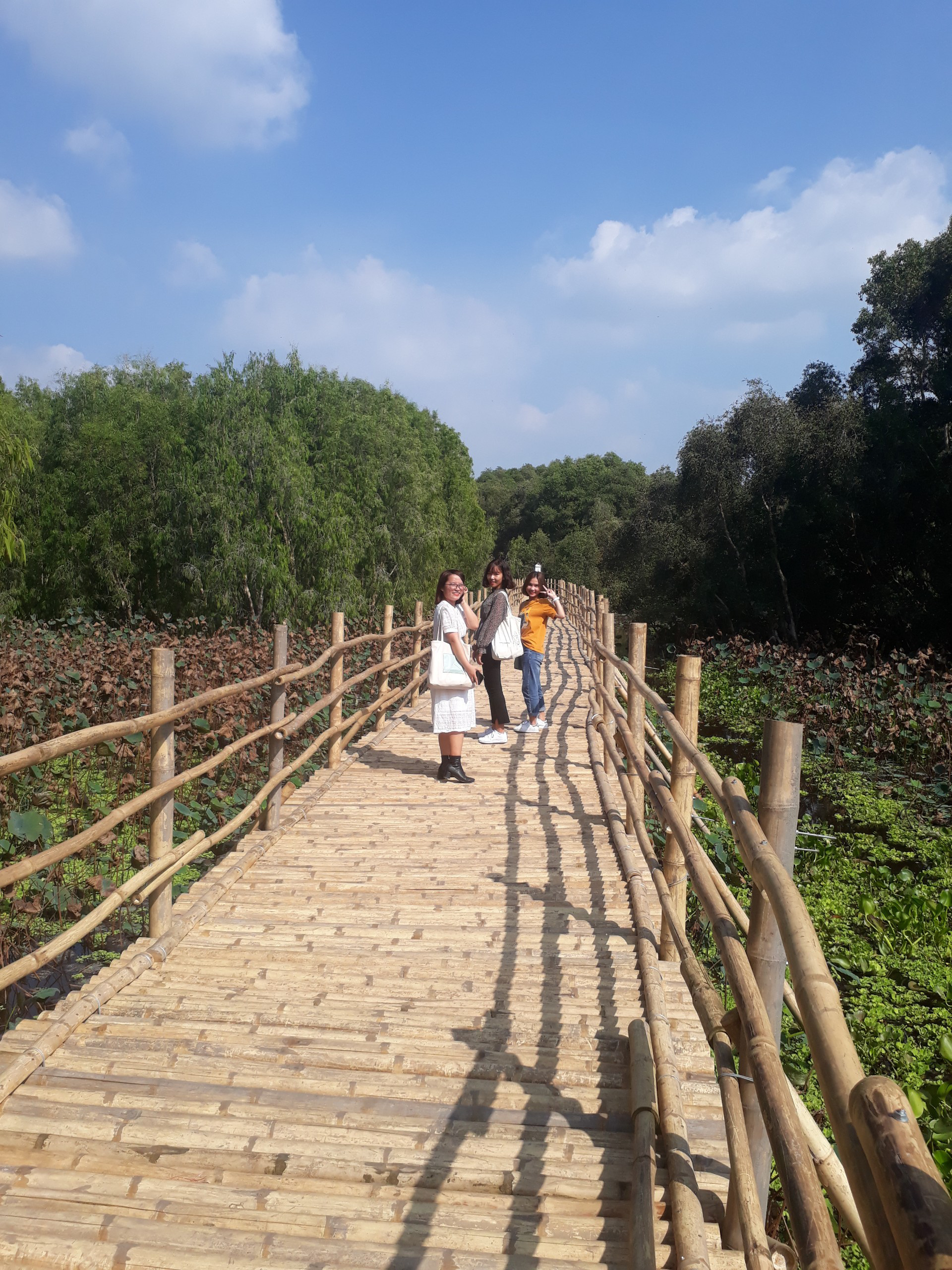 Ngỡ ng&agrave;ng chiếc cầu tre d&agrave;i nhất Việt Nam nằm giữa rừng tr&agrave;m - Ảnh 2.