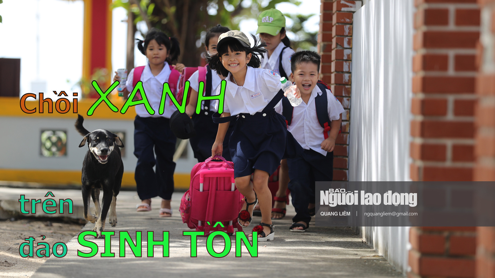 [eMagazine] Chồi xanh trên đảo Sinh Tồn