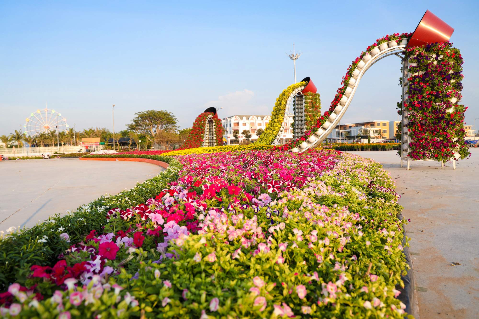 Ngỡ ngàng sắc Xuân tại khu lấn biển lớn nhất miền Tây