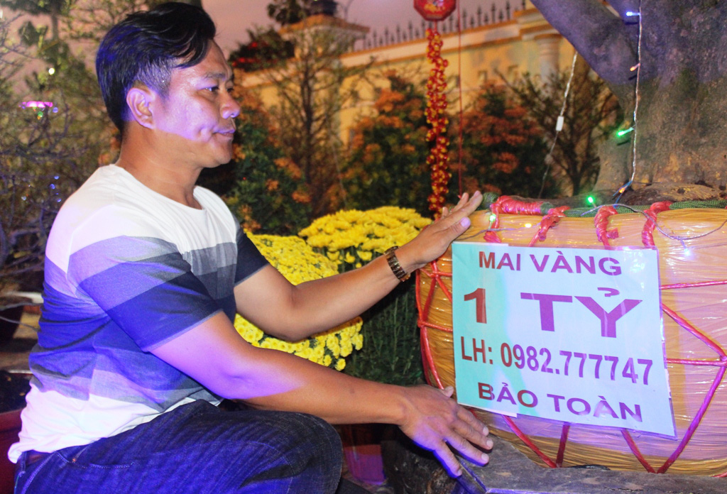 Cận cảnh l&atilde;o mai 90 năm tuổi được rao b&aacute;n 1 tỉ đồng - Ảnh 5.