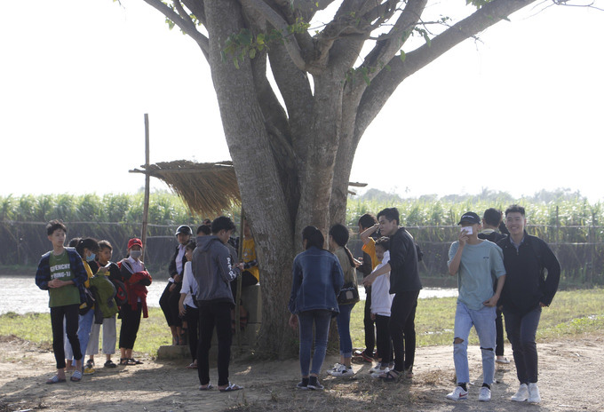 Phim trường Mắt Biếc thành điểm tham quan - Ảnh 2.