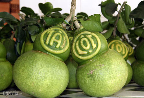 Dồi dào quà Tết "độc", lạ