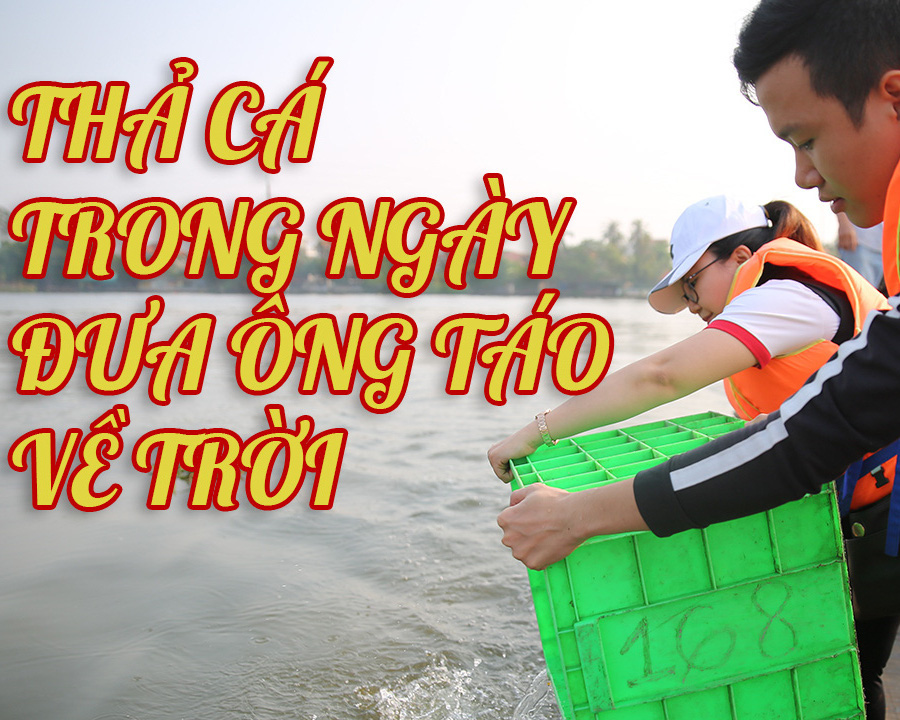 Thả cá ngày đưa ông Táo về trời