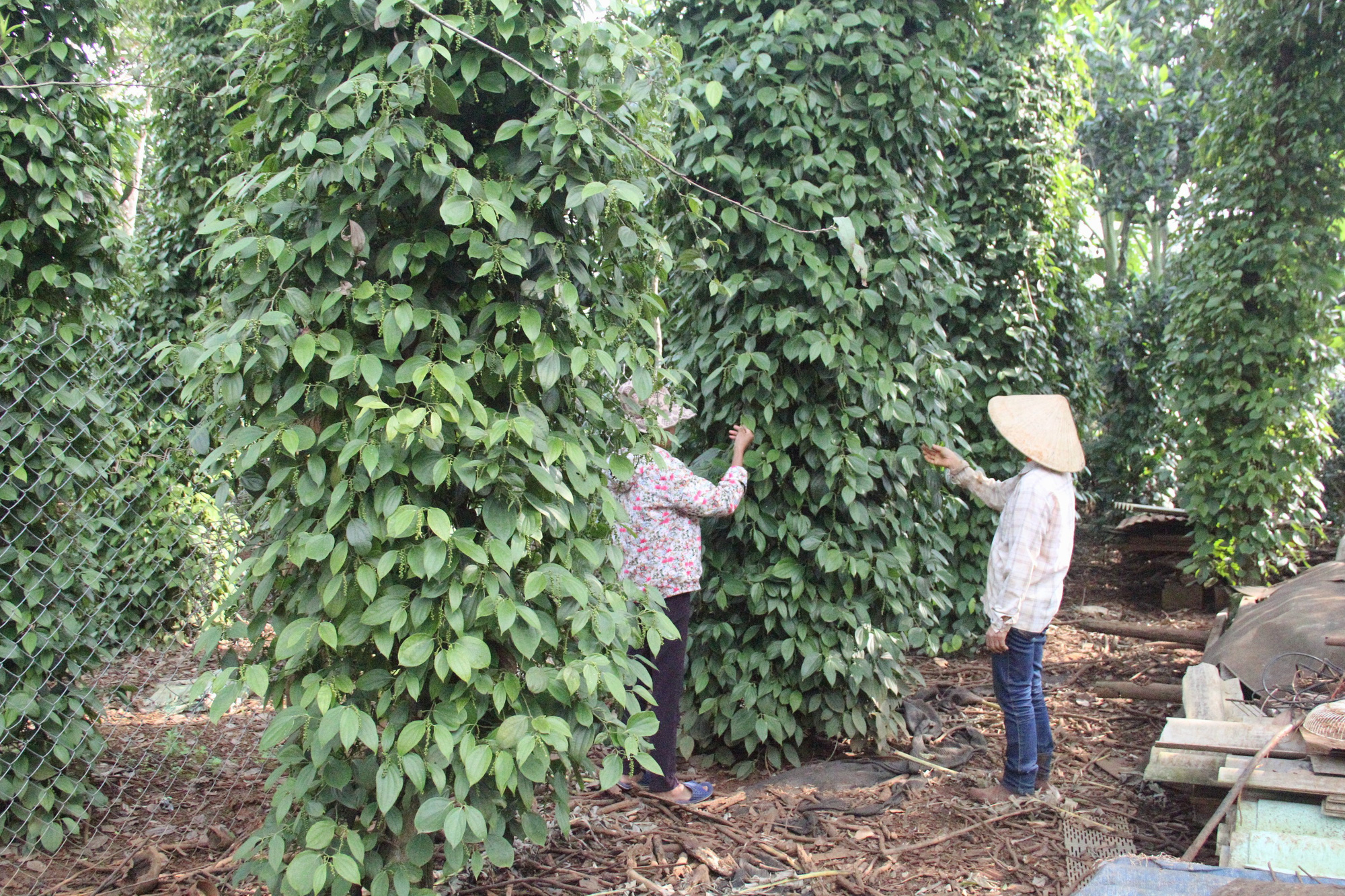 Tiền lãi bị kê lên gấp 3 lần, dân phản ứng xã bảo do tính nhầm? - Ảnh 1.