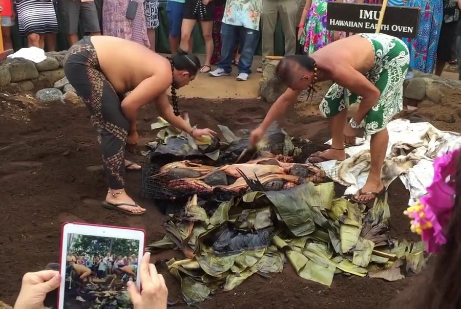 Người Hawaii đào hố làm lò nướng hơn 1.000 kg thịt heo