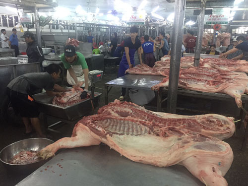 Giá thịt heo giảm, nhiều trại bán heo quá lứa