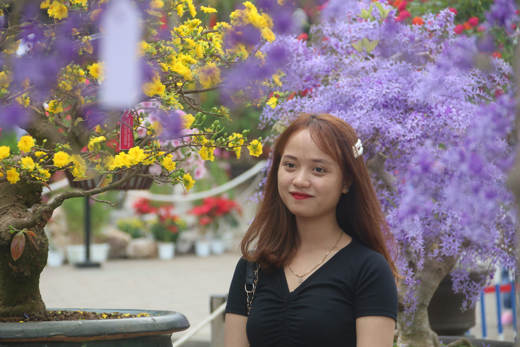 Ngắm sắc xuân về trên phố biển Nha Trang