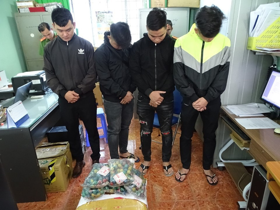 Đồng Nai: H&agrave;ng loạt tội phạm sa lưới những ng&agrave;y cận Tết - Ảnh 1.