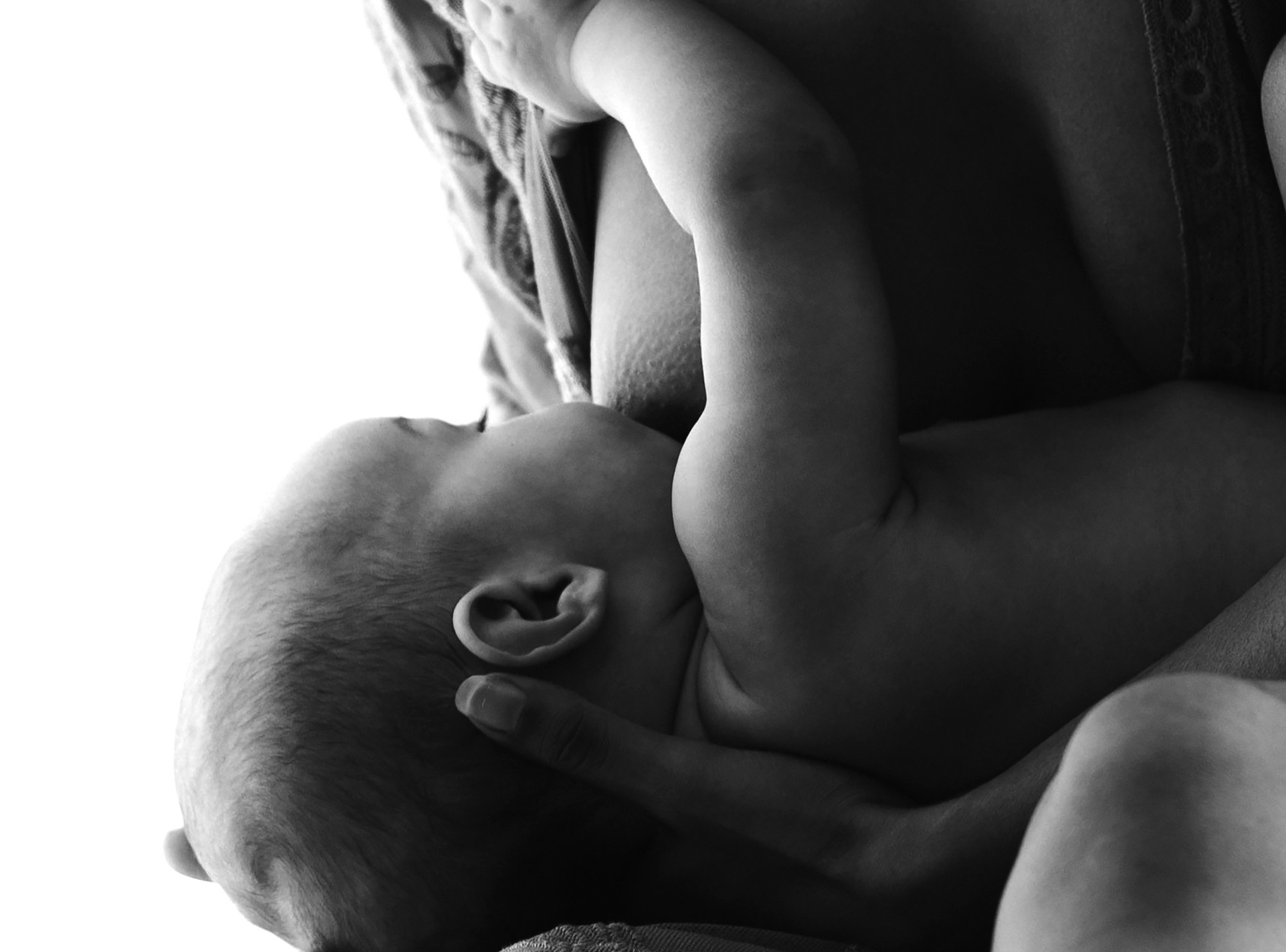 Giọt sữa thiêng liêng của mẹ