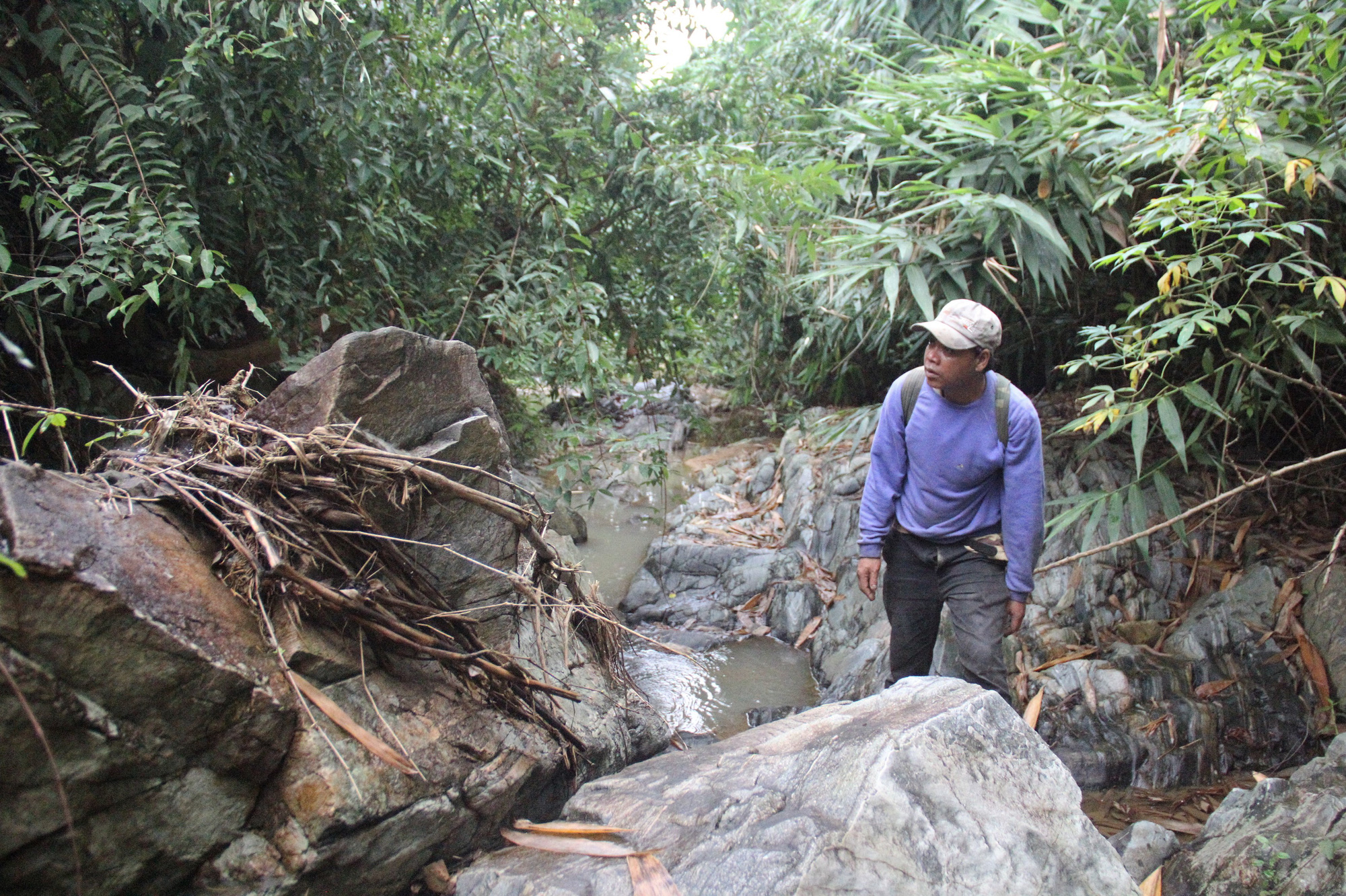 Săn chuột n&uacute;i - Ảnh 4.